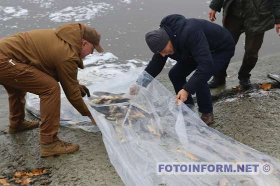 Водосховища на Кіровоградщині збагатилися 6 тоннами молоді риби